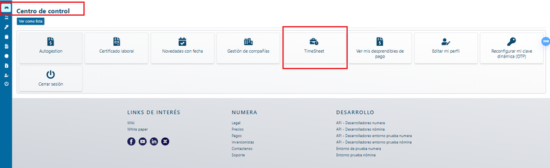 Timesheet jefe.png
