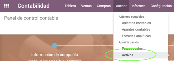 Asesor - activos.png
