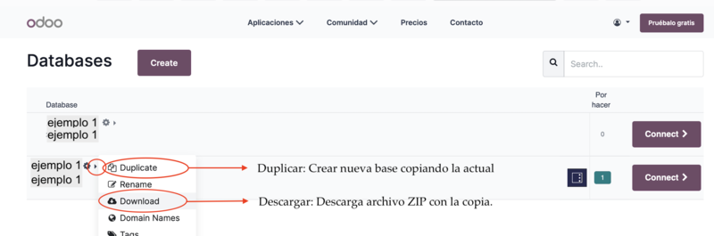 Descargar copia seguridad Odoo.png